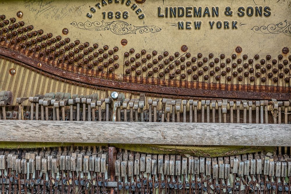Alaska-Sitka Discarded Lindeman and Sons piano close-up
